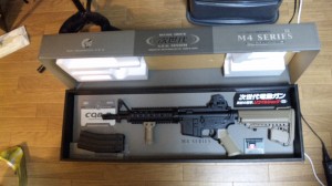 ダークアースタイプです。