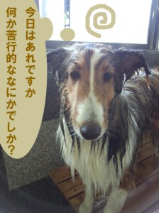 IMG_20140517_154811117のコピー