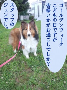 IMG_20140505_07230621[1]