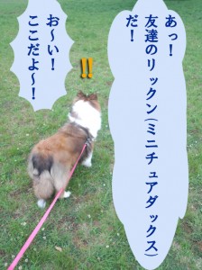 IMG_20140505_072340758[1]