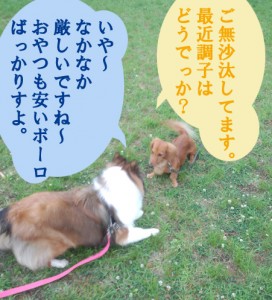 IMG_20140505_072345619[1]