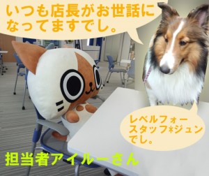 IMG_20140513_150153776のコピー