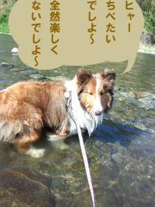 IMG_20140517_145800835のコピー