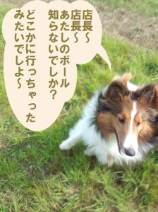 IMG_20140530_072528976のコピー