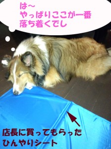 IMG_20140615_222427270のコピー