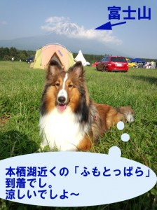 IMG_20140531_161325536のコピー