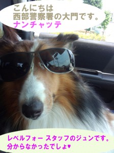 IMG_20140531_114454687のコピー