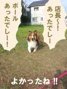 IMG_20140530_072448638のコピー