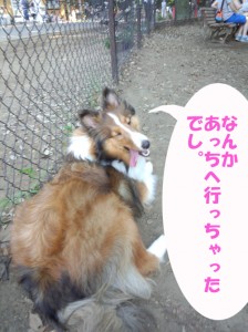 IMG_20140615_15552748のコピー