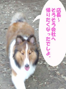 IMG_20140615_155405325のコピー