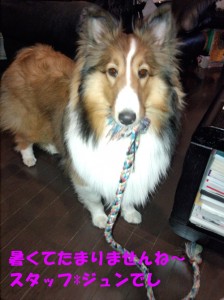 IMG_20140512_20120816のコピー