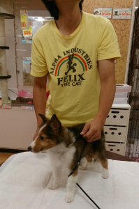 スクリーンショット 2014-07-22 11.26.02