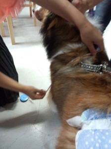 IMG_20140622_175725693