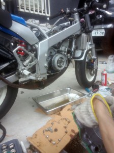 IMG_20140629_150559471