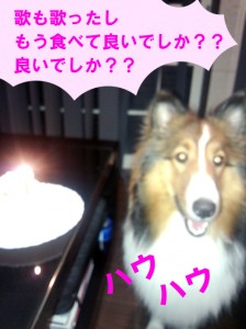 IMG_20140717_221618728