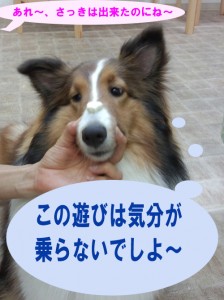 IMG_20140622_172655418のコピー