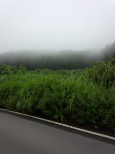 IMG_20140812_145706505