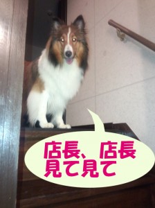 IMG_20140822_200049634のコピー