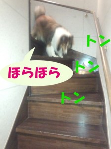 IMG_20140822_200119747のコピー