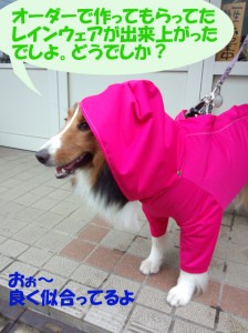 IMG_20140810_16173534のコピー