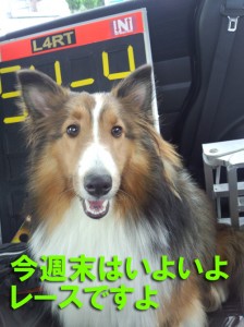 IMG_20140830_144507224のコピー