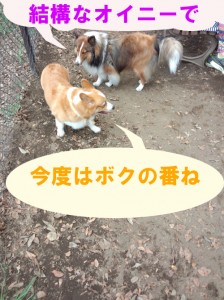 IMG_20140831_131452795のコピー