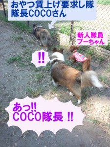 IMG_20140913_140549829のコピーのコピー