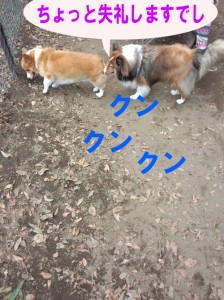 IMG_20140831_131448792のコピー