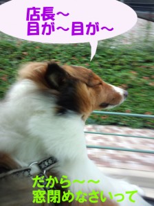 IMG_20140830_132957402のコピー