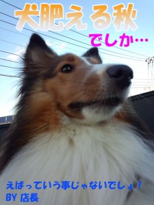 IMG_20140914_172325686のコピー