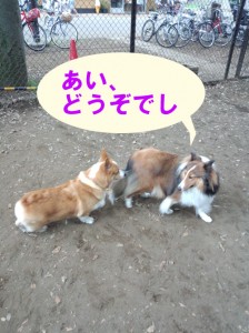 IMG_20140831_130959441のコピー