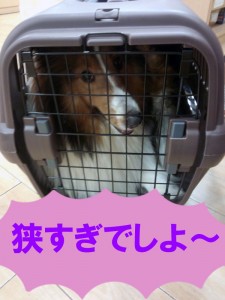 IMG_20140922_15103007のコピー