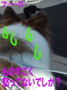 IMG_20140914_094504266のコピー