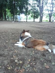 IMG_20140831_132005968