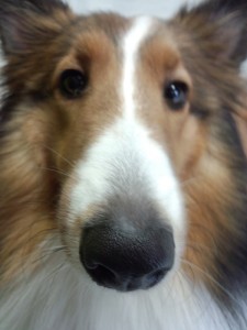 IMG_20140909_123615368