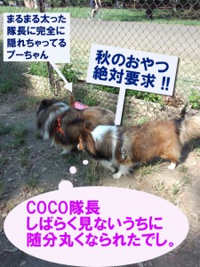 IMG_20140913_14054738のコピーのコピー