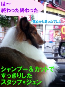 IMG_20140922_164647553のコピー