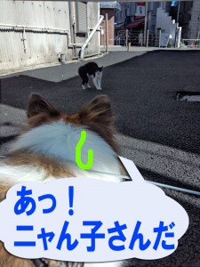 IMG_20140914_094458399のコピー