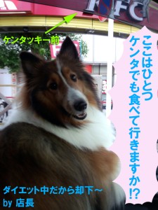 IMG_20140922_164706521のコピー