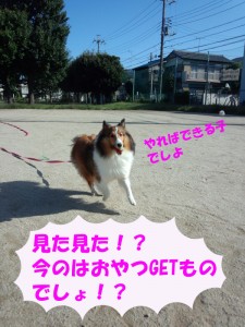 IMG_20140928_0815143861のコピー